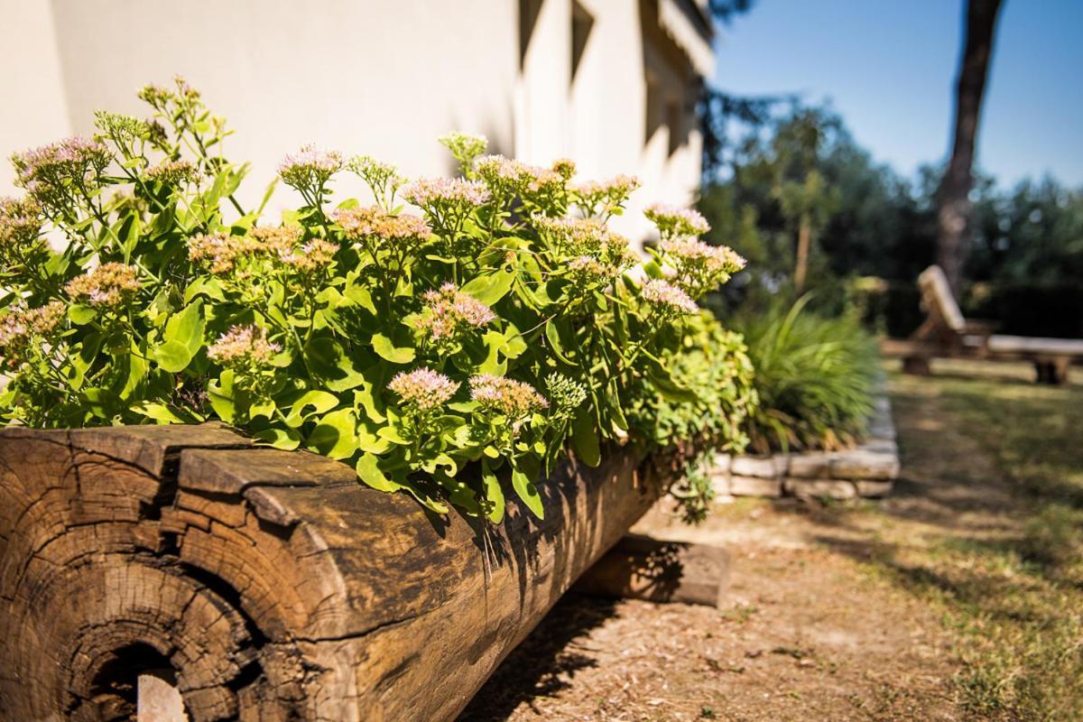 Fattoria Busa Dell'oro Bed & Breakfast 3*