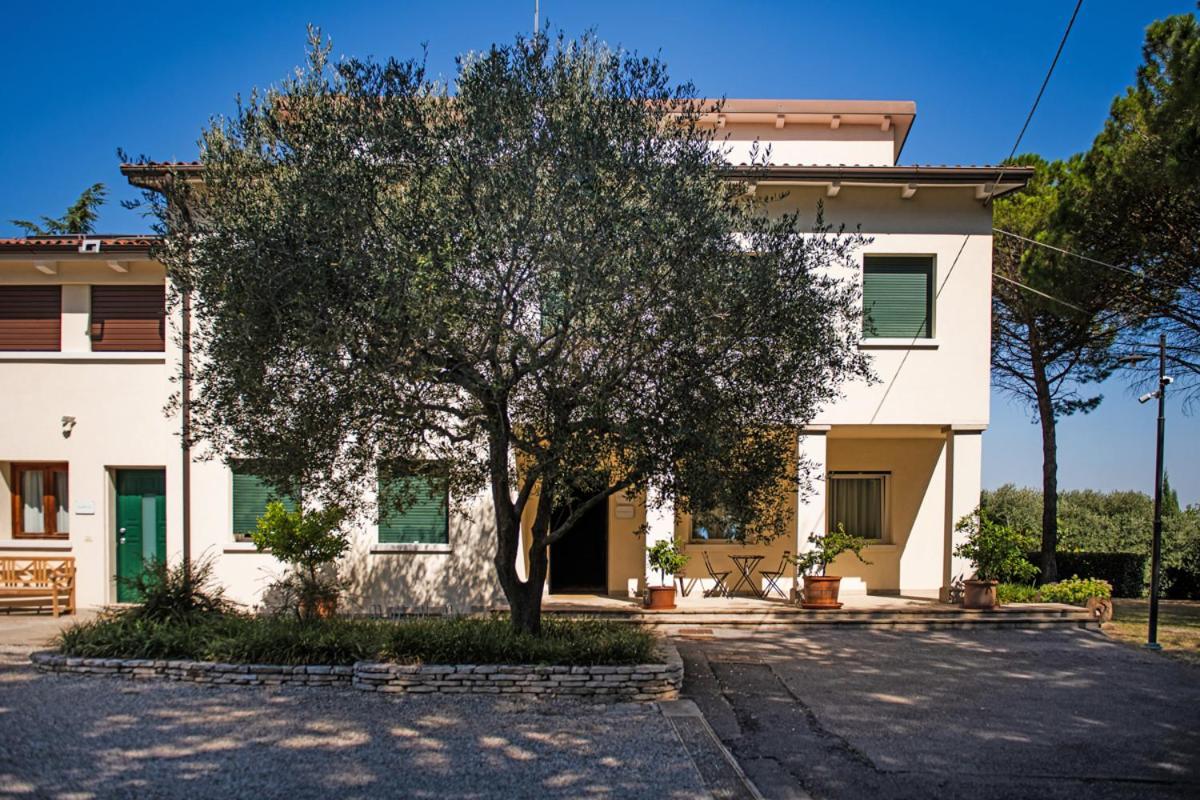 Bed & Breakfast Fattoria Busa Dell'oro