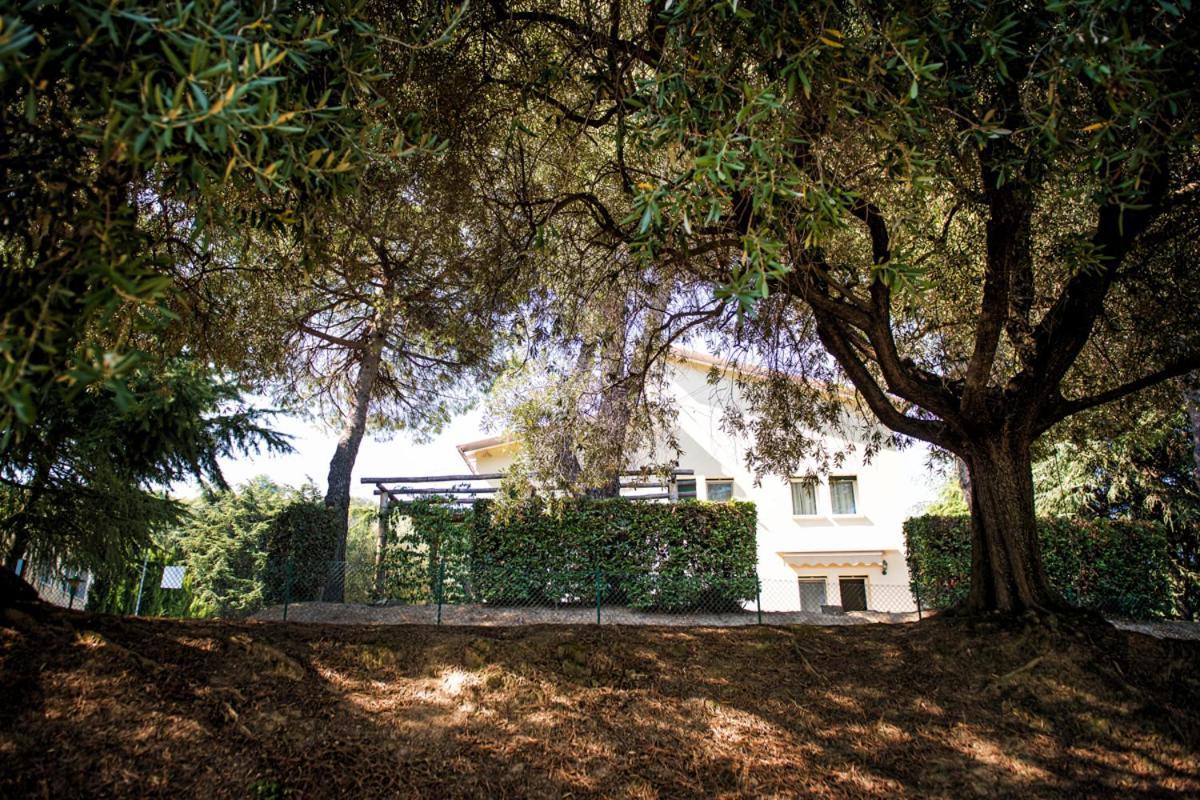 Bed & Breakfast Fattoria Busa Dell'oro Monte Ortone