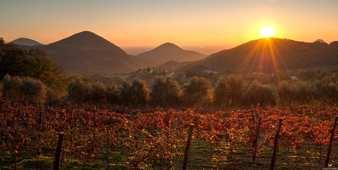 Fattoria Busa Dell'oro Bed & Breakfast